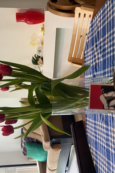 Peaceful and charming Amsterdam-West home - 1