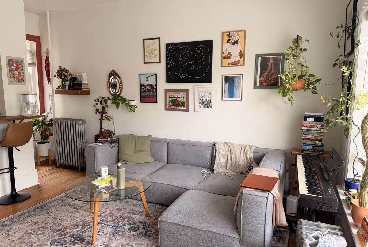 cozy, sunny, capitol hill apartment