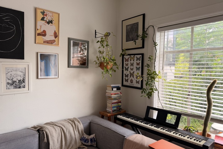 cozy, sunny, capitol hill apartment - 1