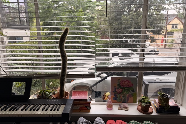 cozy, sunny, capitol hill apartment - 2