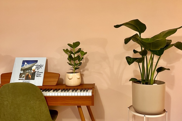 City Maisonette with private garden 🪴 ☀️ - 6