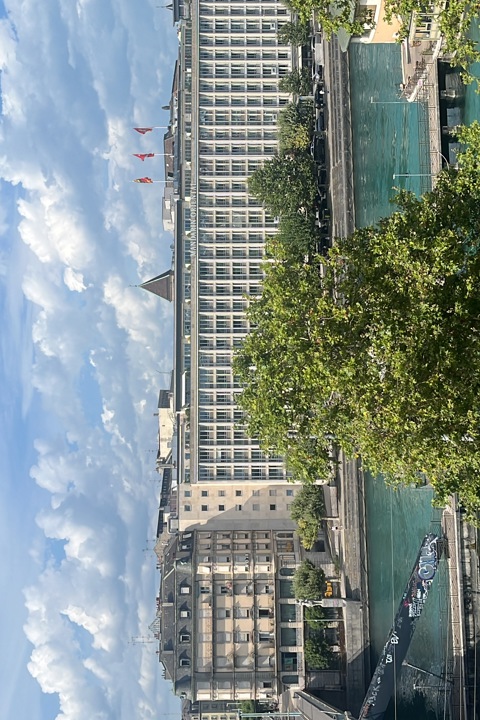 Geneva - Elegant Haussmann-Style Apartment - 5