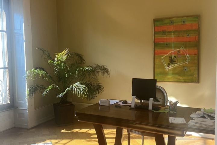 Geneva - Elegant Haussmann-Style Apartment - 1