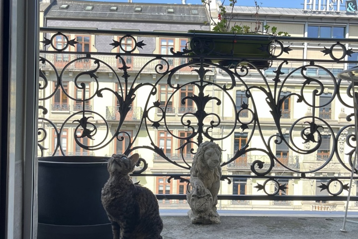 Geneva - Elegant Haussmann-Style Apartment - 6