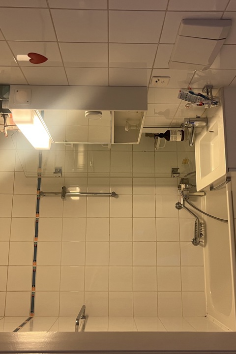 Geneva - Elegant Haussmann-Style Apartment - 4