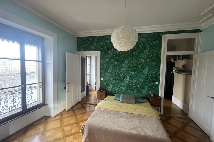 Geneva - Elegant Haussmann-Style Apartment - 3