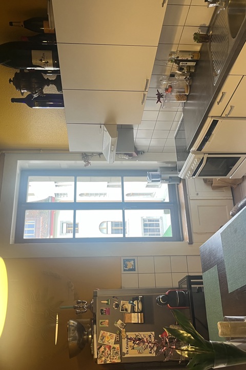 Geneva - Elegant Haussmann-Style Apartment - 2