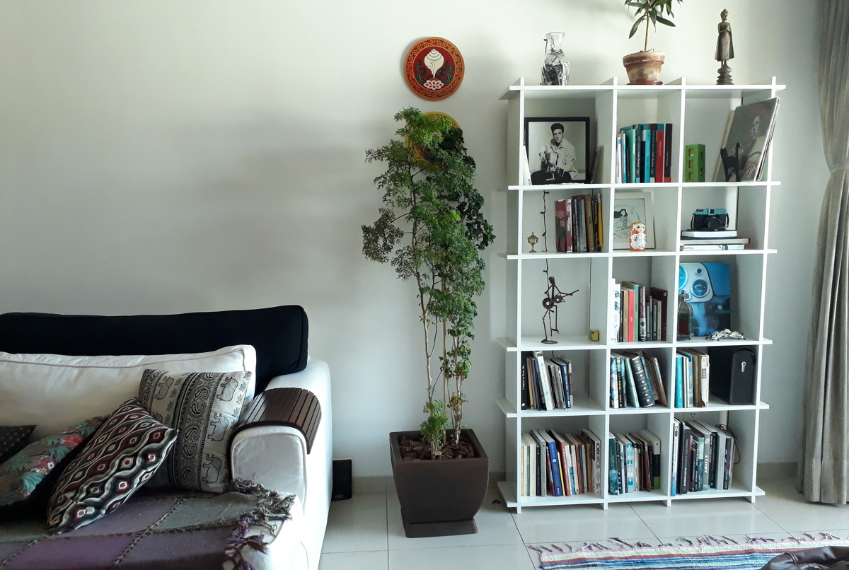 Charming apartment in Rio de Janeiro