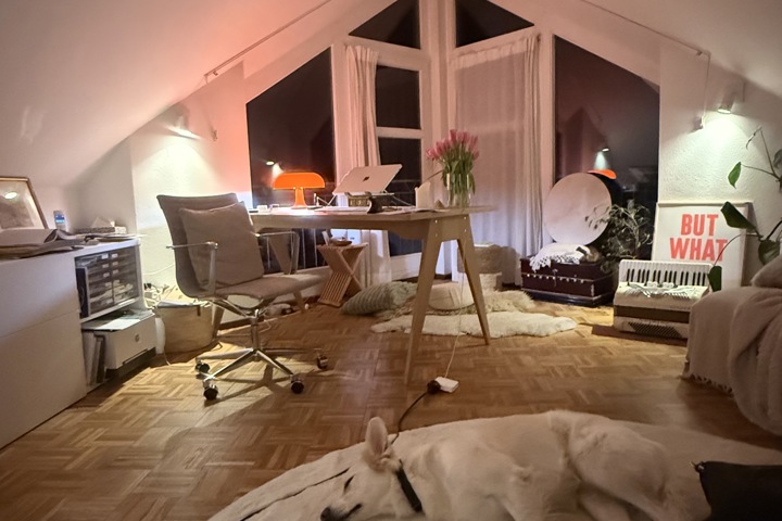 Bright apartment, close to the lake - 1