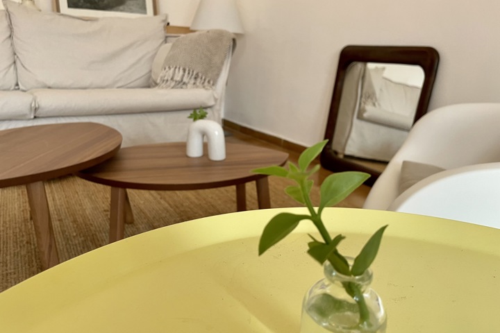 Alicante city and beach - 13