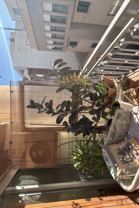 Alicante city and beach - 19