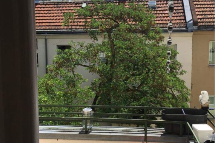 Beautiful peaceful flat in Neukölln - 3
