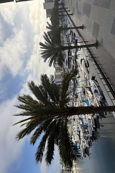 Los Angeles Marina Paradise - 15