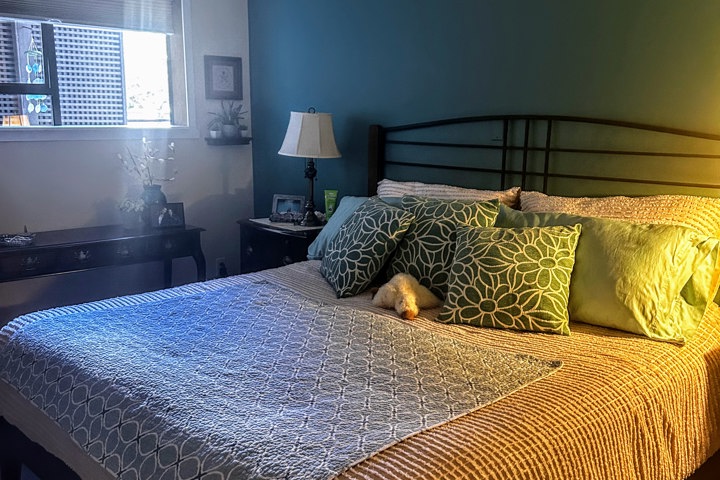 Cozy Oceanside Condo - 4