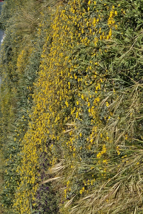 Live by an 11km beach within Barcelona metropole - 36