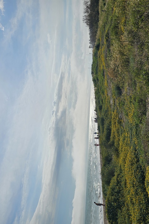 Live by an 11km beach within Barcelona metropole - 31