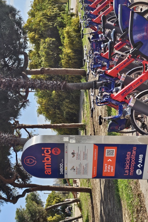 Live by an 11km beach within Barcelona metropole - 35