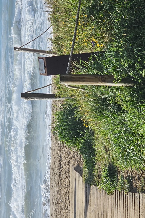 Live by an 11km beach within Barcelona metropole - 28