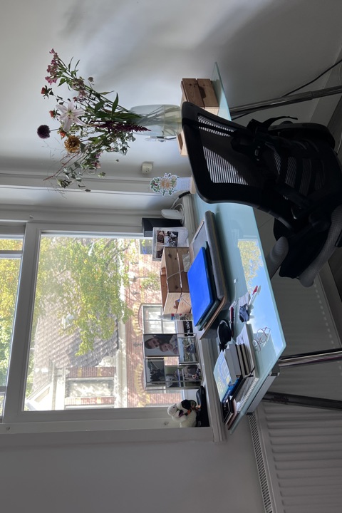 Cozy and central 1 bedroom apartment in De Pijp - 3