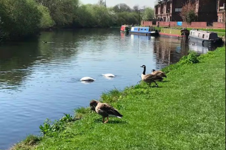 Modern 2-bed apartment in zone 3 London - 8