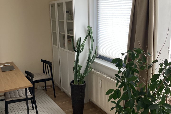 Cozy 1 Person Flat in Innsbruck - 3