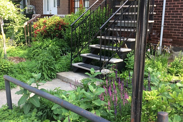 Vibrant sunny and snowy Montréal! - 3