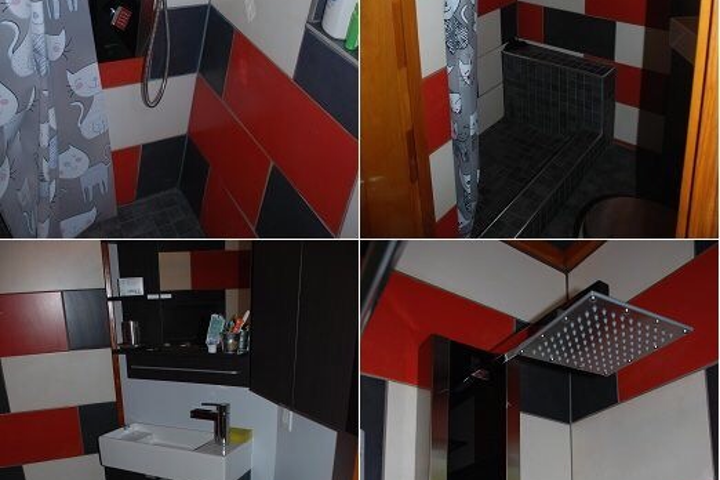 Vibrant sunny and snowy Montréal! - 12