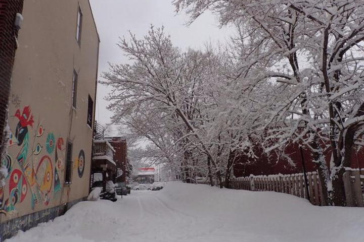 Vibrant sunny and snowy Montréal! - 4