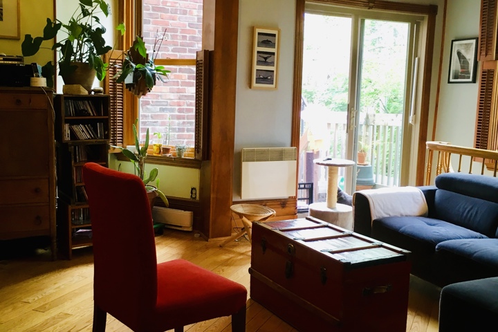 Vibrant sunny and snowy Montréal! - 8