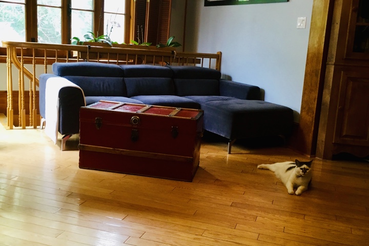 Vibrant sunny and snowy Montréal! - 9