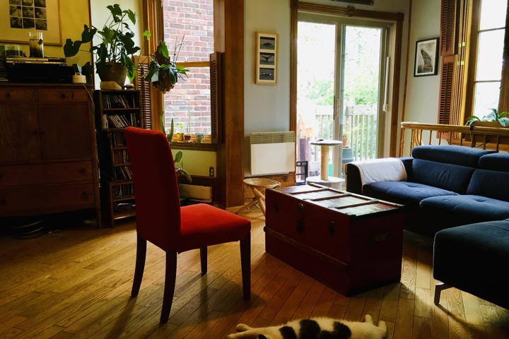 Vibrant sunny and snowy Montréal! - 10