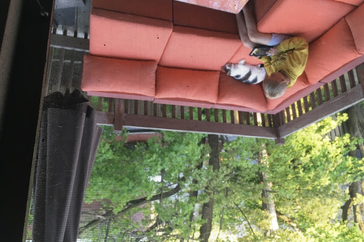 Vibrant sunny and snowy Montréal! - 2