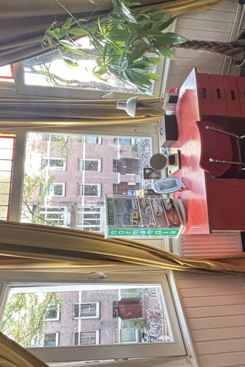 Charming and cosy home in De Baarsjes - 7