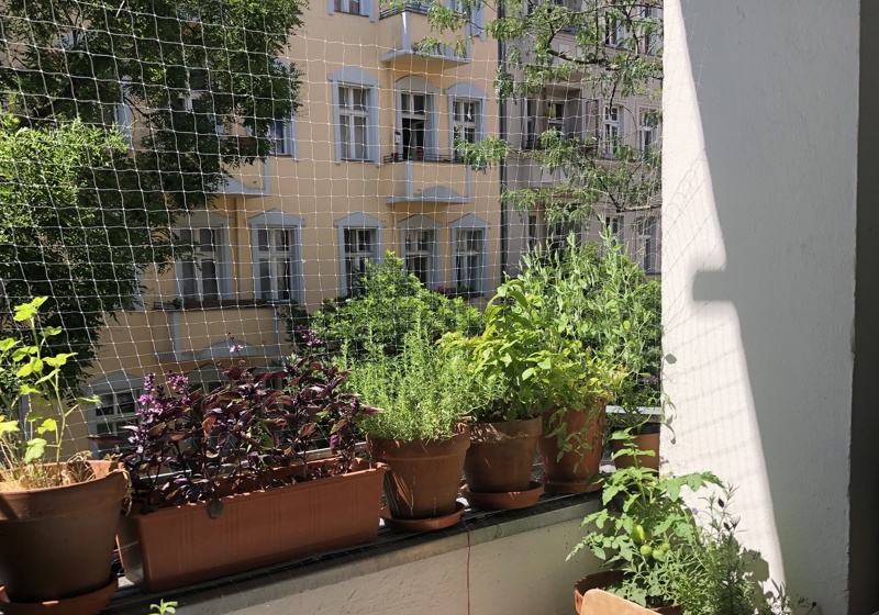 home swap in Berlin, Germany