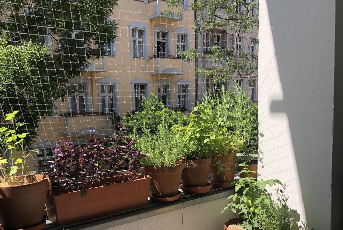 Cosy and colourful home in Neukölln