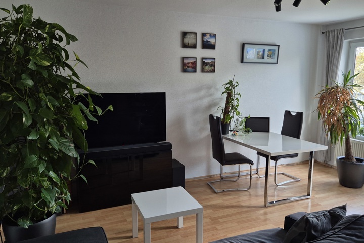 Sunny, modern apartment near Frankfurt - 1