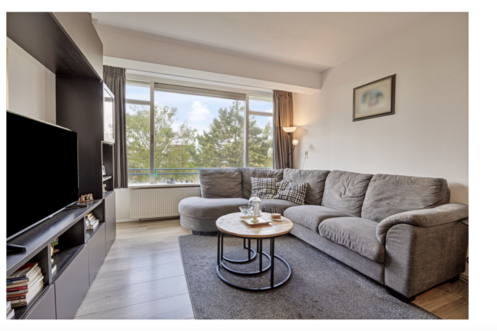 Cozy apartment next to a dutch-windmill - 4