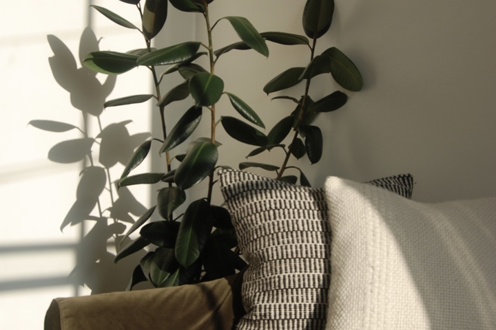 Designer’s Cosy home in central London - 6