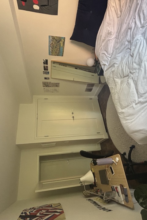 NYC APT In East Village Hidden Gem - 7