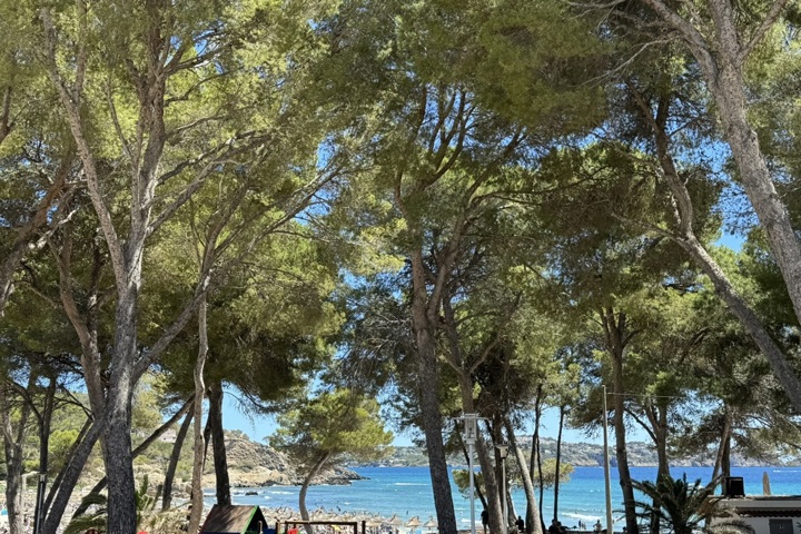 Picturesque 5-BR Villa w. saltwaterpool - Mallorca - 14