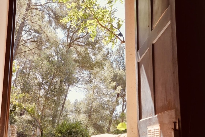 Picturesque 5-BR Villa w. saltwaterpool - Mallorca - 17