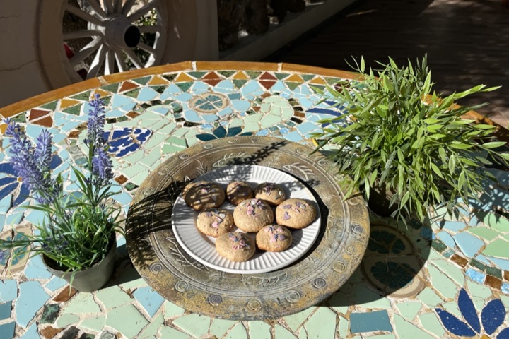 Picturesque 5-BR Villa w. saltwaterpool - Mallorca - 42