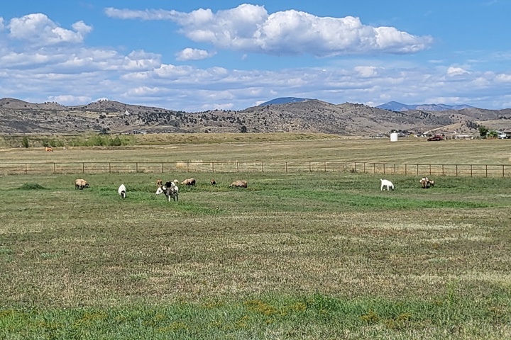 Large home in the foothills of the rockies - 4