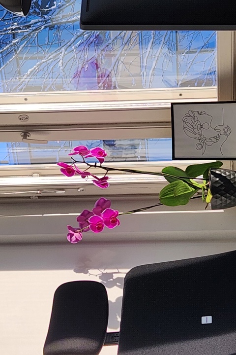 Cozy 1BR apartment in loved Etelä-Haaga, Helsinki - 7