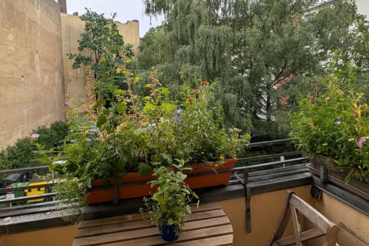 Bright 2-room apartment with balcony - 5