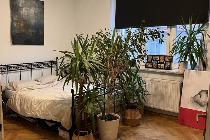 Krakow/Cracow 75m2 apartment in city center - 1