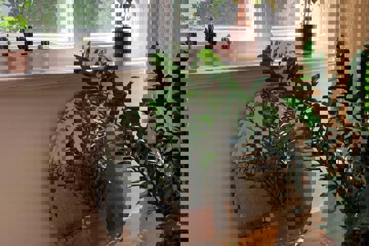 Beautiful flat in the heart of Kreuzberg - 10