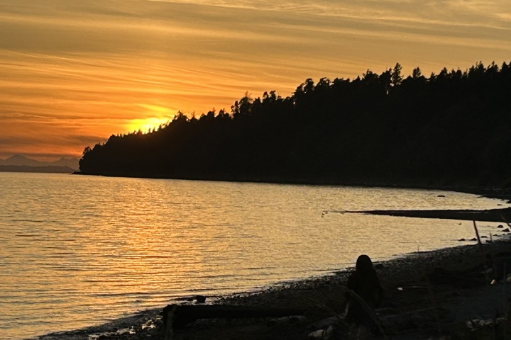 House in Surrey, BC, Near vancouver and beach - 11