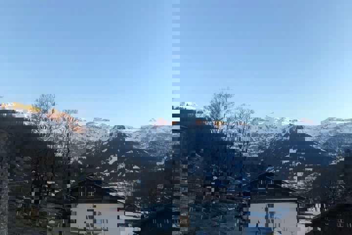 Cozy Studio in the Swiss Alps - 8