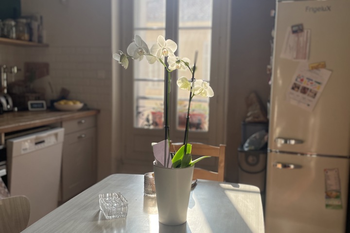 Appartement à Vauban - 1